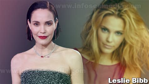 leslie bibb net worth|More.